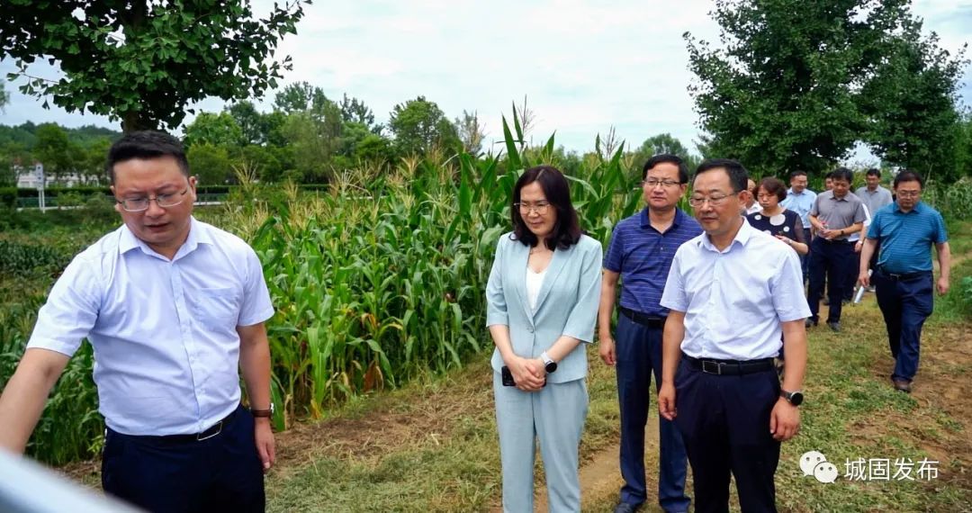 省自然资源厅厅长窦敬丽在城固调研