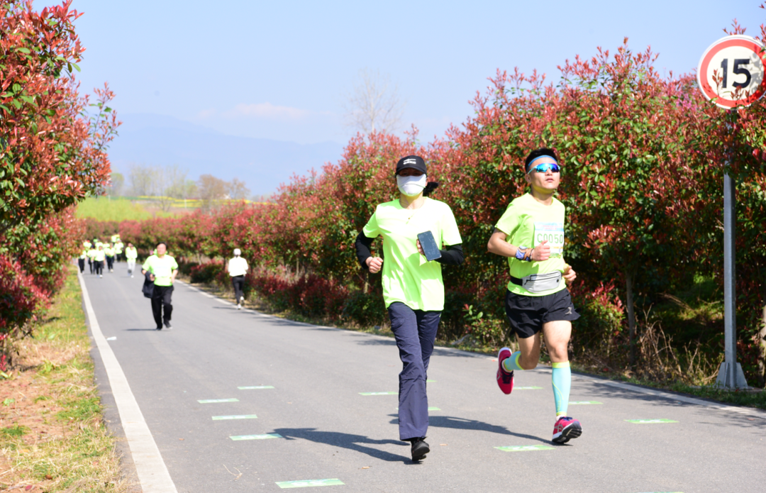 2023中国最美油菜花海汉中旅游文化节城固分会场暨迷你马拉松赛正式启动 - 城固县人民政府